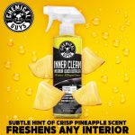 Inner Clean Interior Quick Detailer & Protectant