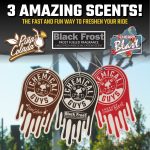 Hanging Air Freshener Assorted 3-Pack